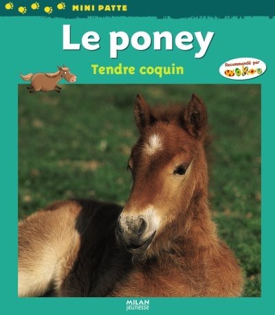 Le  poney, tendre coquin