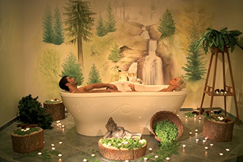 Basisches Badesalz Fichtennadel, 1000g, Kokoderma Fichte Basen Badesalz, Fichtennadel Badezusatz für Männer und Frauen, Basenbadesalz zur Entspannung, Badesalz für Säure-Basen-Kur, Säurehaushalt regulieren durch Badeosmose mit Basen-Bad - 3