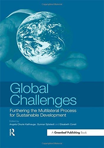Global Challenges: Furthering the Multilateral Process for Sustainable Development