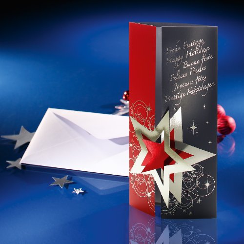 Sigel DS012 Weihnachts-Karten Set mit Umschlag, DIN lang, 10 Stück, gestanzt – weitere Designs - 4