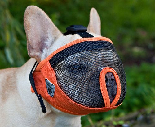 Canine-Friendly-Short-Snout-Dog-Muzzle-Orange