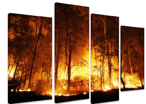 Imagen - Multi Split Panel arte en lienzo Art - grabación Bushfire incendios forestales árboles naranja/rojo Night - Art Depot Outlet - 4 Panel - 101 cm x 71 cm (40 "x28")