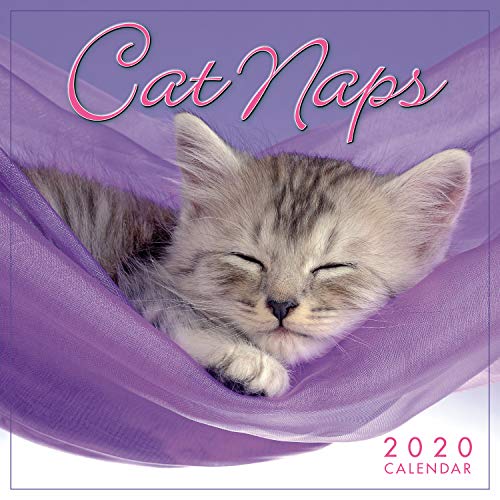 Télécharger Cat Naps 2020 Calendar Livre eBook France