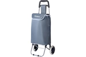 DECODEKO Carrito Compra Plegable de Aluminio, Carrito de Playa 2 Ruedas con Bolsa Oxford Desmontable, 40 L - Carga Máxima 15kg (2 Ruedas Gris)