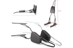 GZYF Respaldo trasero de motocicleta con cojín compatible con Harley Dyna Street Bob EFI FXDBI Super Glide FXD, color plateado