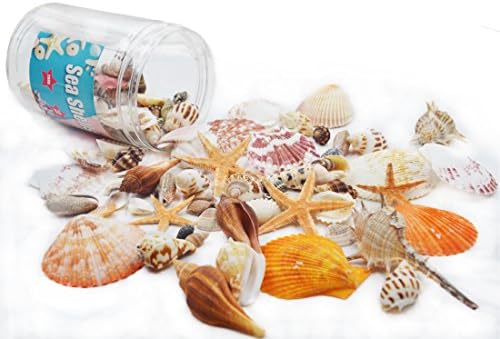 120PCS Bottle Sea Shells Mixed Ocean Beach Seashells-Natural Colorful Seashells Starfish Perfect for Vase Fillers,Wedding Decor Beach Theme Party , Home Decorations,DIY Crafts, Fish Tank,Candle Making
