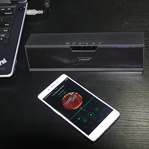 Sardine SDY019 Altavoz Est  reo Inal  mbrico Port  til al Aire Libre Soporte a FM Radio USB TF   MicroSD USB Negro