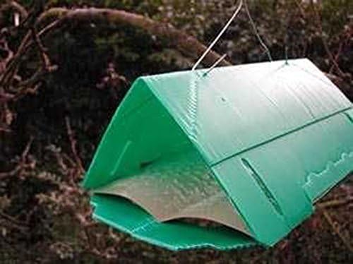 Agralan 2X Pheromone Plum Fruit Moth Trap