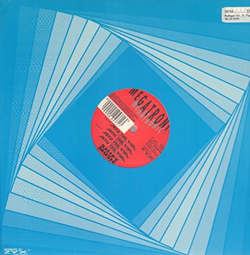 Preisvergleich Produktbild Into the Fire [Vinyl Single]