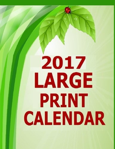 amazon-in-buy-2017-large-print-calendar-14-month-large-print-calendar