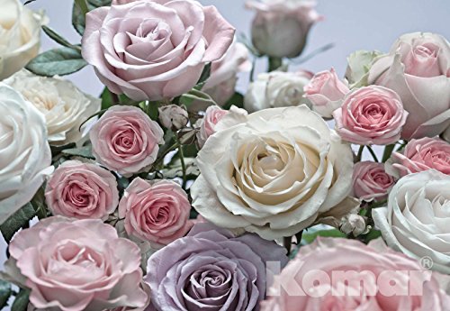 Fototapete FLORAISON 368x254 weisse Rosen hellrosa rosa romantische Blumen schön