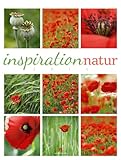 Image de Inspiration Natur 2014