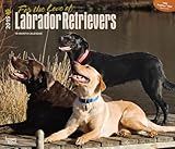 Labrador Retriever 2015 - For the Love of: Original BrownTrout-Kalender - Deluxe [Mehrsprachig] [Kalender] by 