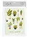 Produktbild American Greetings I Will Survive Pflanzen frameable Kunstdruck, 20,3 x 25,4 cm
