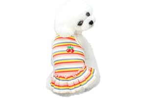 Barrageon Hunde Kleid Süß Prinzessin Rock Kleidung Katze Welpe Für Kleine Mittelgroße Bowknot Haustier Sommerkleidung Hundekatze (Orange-M)