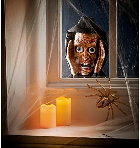 Scary Halloween Window Peeper (Zombie)