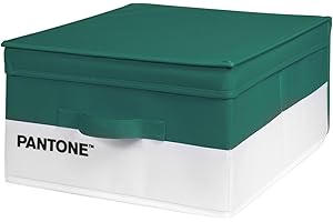 OSAMA HOME PANTONE Organizer Armadio Salvaspazio, Scatola Porta Oggetti e Abiti con Tasca Profumatore Armadio, Contenitore Giochi Bambini e Vestiti Pieghevole, Scatole per Armadio Portaoggetti 35x45x20 cm