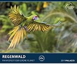 REGENWALD 2019 mit Spende an OroVerde: DER GRÜNE PLANET by 