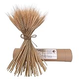 ramo de trigo seco para decoração ▲ embalaje se puede cortar  nuestra el embalaje exterior se puede cortar en recipientes pequeños de flores secas o otras decoraciones de trigo, Puede probar por sí mismo en casa.