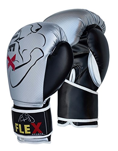 flex bag boxing