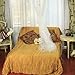 Netting Bed Canopy Round Mosquito Net (White)