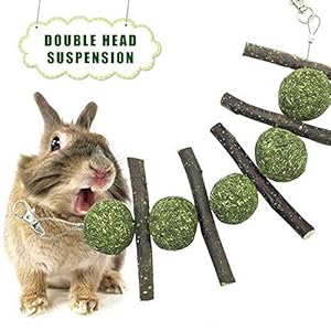 Comida Juguetes para Conejo Hámster Pelota de Ejercicio Chinchilla Rata Loro Hierba Apple Stick Snakcs (2)
