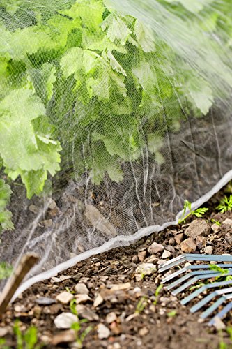 Windhager Insektenschutz-Netz, 5 x 2 m, weiß - 2