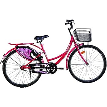 lady bird breeze cycle price