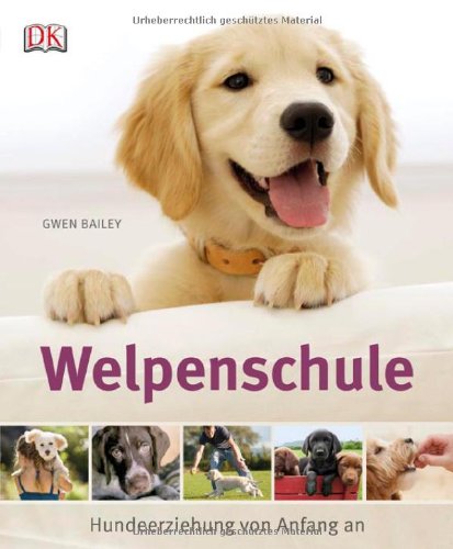 Download Welpenschule: Hundeerziehung von Anfang an