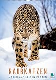 Raubkatzen: Jäger auf leisen Pfoten (Wandkalender 2019 DIN A2 hoch): Sprungkraft, Eleganz und Schönheit: Jaguar, Löwe und Ozelot (Monatskalender, 14 Seiten ) (CALVENDO Tiere) by