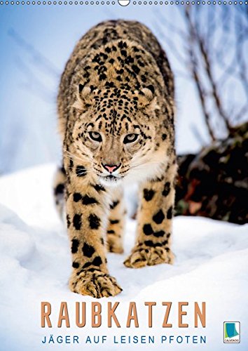 Raubkatzen: Jäger auf leisen Pfoten (Wandkalender 2019 DIN A2 hoch): Sprungkraft, Eleganz und Schönheit: Jaguar, Löwe und Ozelot (Monatskalender, 14 Seiten ) (CALVENDO Tiere)