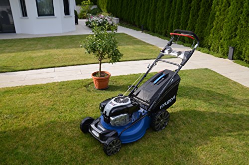 HYUNDAI Benzin-Rasenmäher LM5301G B&S (Selbstantrieb, Schnittbreite 53 cm, 2.5kW Briggs & Stratton Motor, 65L Fangkorb, Mulchfunktion, Benzin-Mäher) - 7