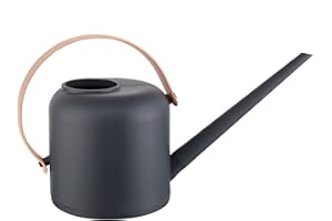 Vaupan Regadera para plantas de interior, caño largo, regadera pequeña para plantas de exterior, plantas suculentas, jardín de hierbas, flores, 1,7 l, 50 oz, 1/2 galón (gris)