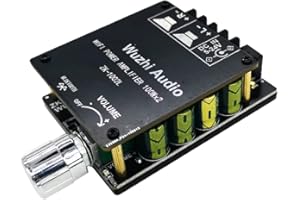 DollaTek Mini Placa amplificadora de Potencia HiFi Bluetooth 5,0 módulo de Sonido estéreo de Doble Canal de Alta Potencia 100 W 2,0