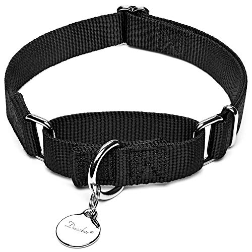 Dazzber Martingal Fuerte Collares para Perro Grande/Mediano/Pequeño, Ajustable - Resistente - No Escapatoria - Color Sólido - Nylon Collar de Perro de Seguridad
