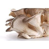 Obst & Gemüse Bio Austernpilze Traube (1 x 1000 gr)