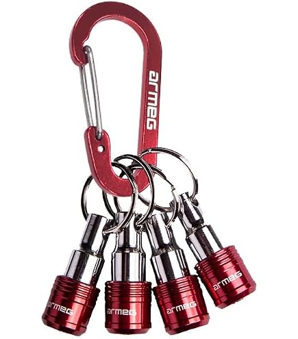 Armeg Schlagmauerwerk- & Schraubendreher-Bit-Set, 4-teilig Mit Karabinerhaken & Gürtelschlaufen