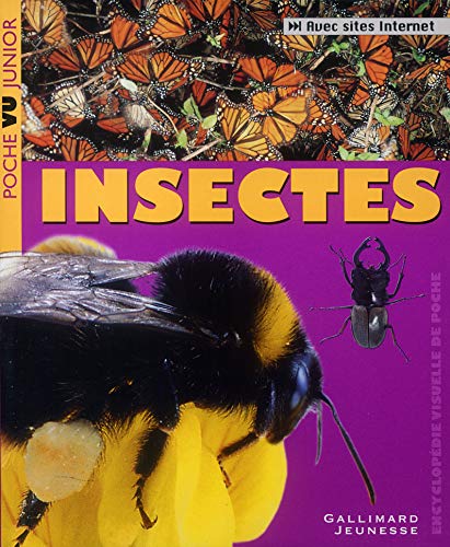 Insectes Insectes