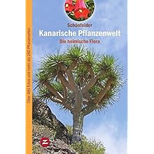 Suchergebnis Auf Amazonde Für Kanarische Inseln Pflanzen - 