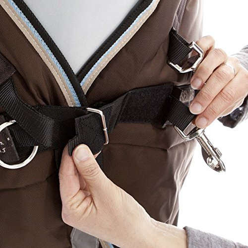 Rambo-Wug-Turnout-Heavy-Chocolate-with-Duck-EggBlack-756ft-3in