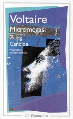 Micromégas