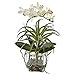 Produktbild Fast natur Orchidee und des frischen Mixed Arrangement mit Glas Vase, weiß, 17,1 x 57,1 x 17,1 cm