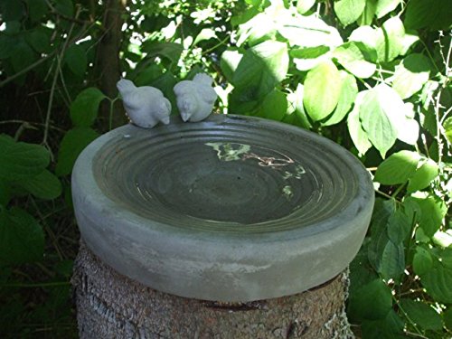 Dekoratives Vogelbad, Vogeltränke, Wasserstelle, Beton, 30 cm - 2