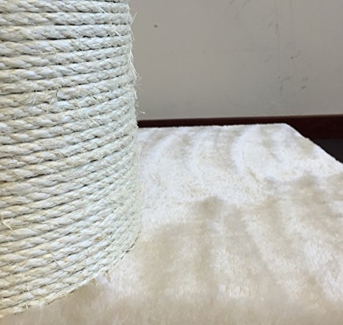 Cat tree for large cats Maine Coon Lounge Beige XXL extra big breed scratch post and adult ...