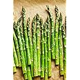 Home Garden Asparagus Seed