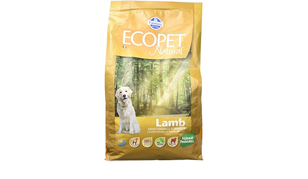 ecopet natural junior