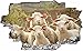 Produktbild DesFoli Schafe Sheep 3D Look Wandtattoo 70 x 115 cm Wanddurchbruch Wandbild Sticker Aufkleber C107