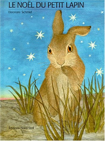Le Noël du petit lapin