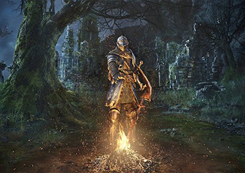 Preisvergleich Produktbild Dark Souls Remastered Poster