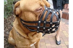 L&J PETS UK New Genuine Light Leather Dog Muzzle for Dogue de Bordeaux and Bullmastiff and and other similar breeds (Brown Leather, DB-2)